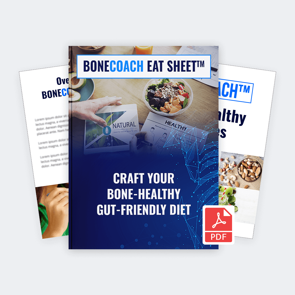 Bone Coach Eat Sheet